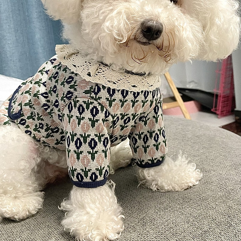 cute small dog sweaters