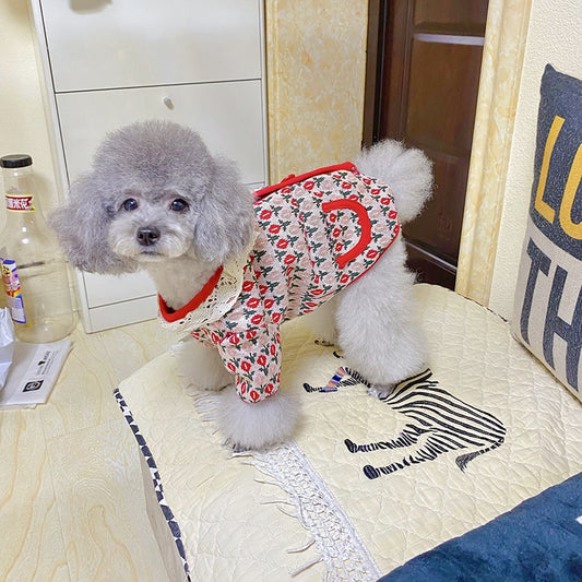 cute dog sweaters for small dogs