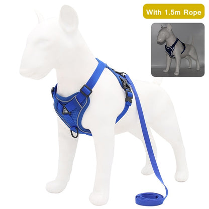 best harness for bulldogs