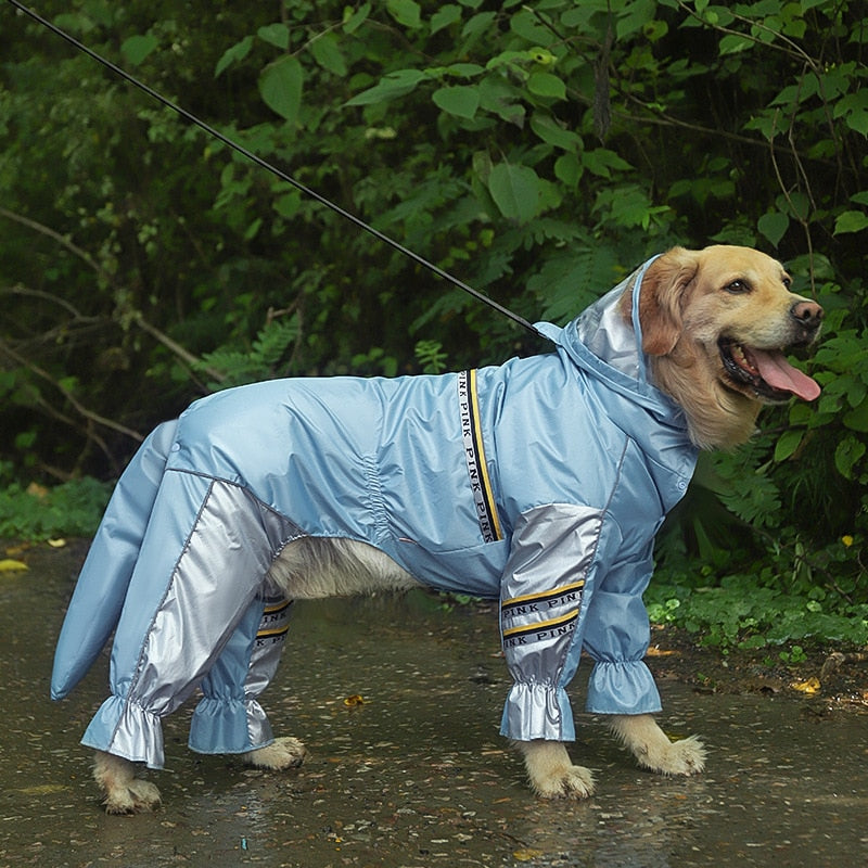 raincoat golden retriever