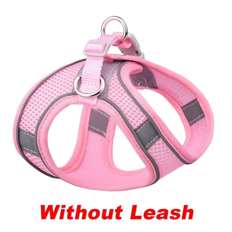 teacup chihuahua puppy harness