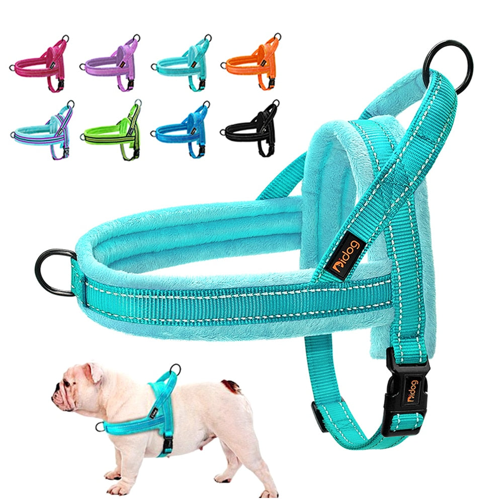 pug harness for dogs