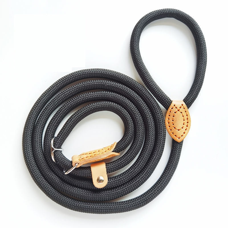 rope dog collar
