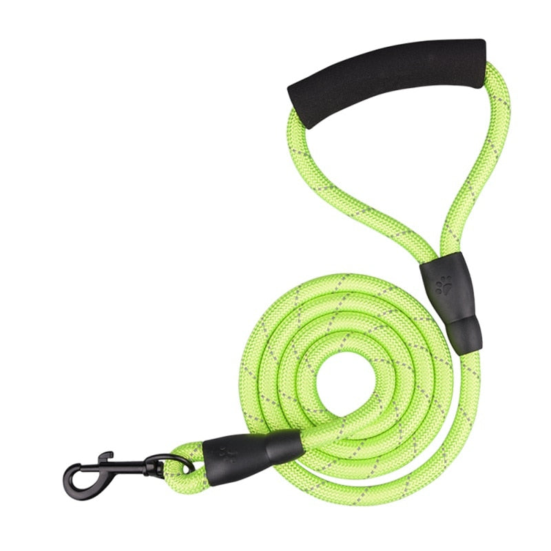 Long Leashes For Dogs