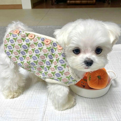 cute dog clothes