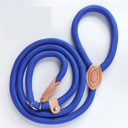 dog leash and collar