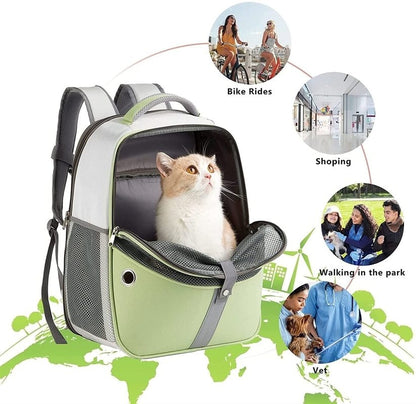 backpack for cats