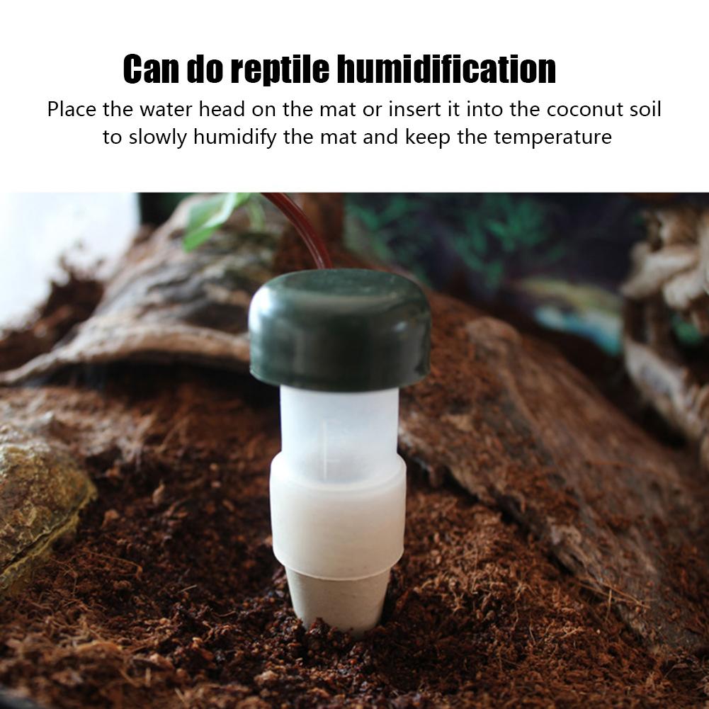 snake humidifier