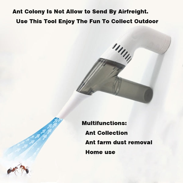 ant farm dust removal