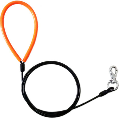 best dog leash for large dogs