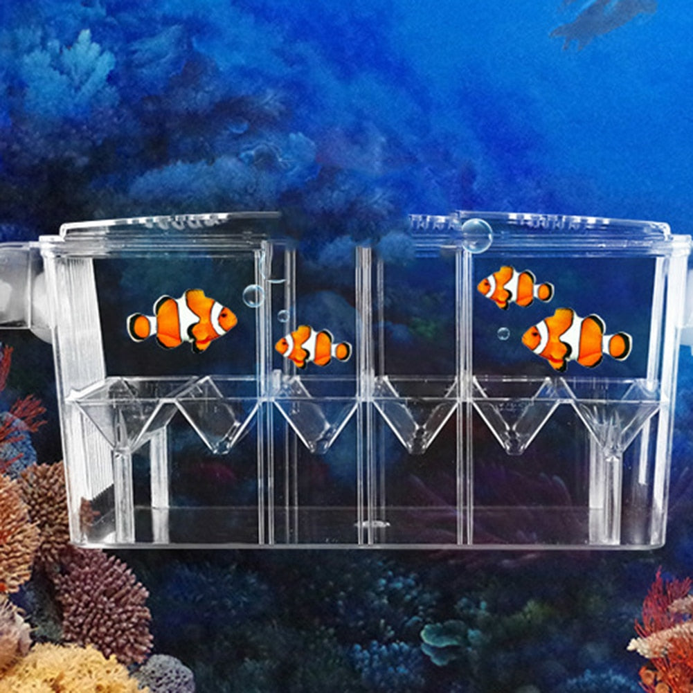 Aquarium Breeder Tanks