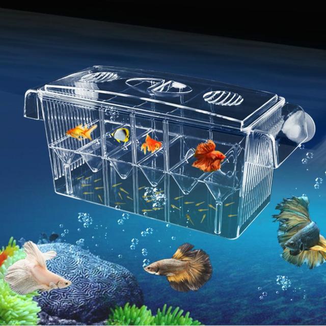 Breeding Tank For Fish