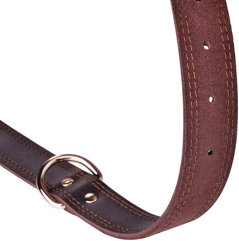tan leather dog collar