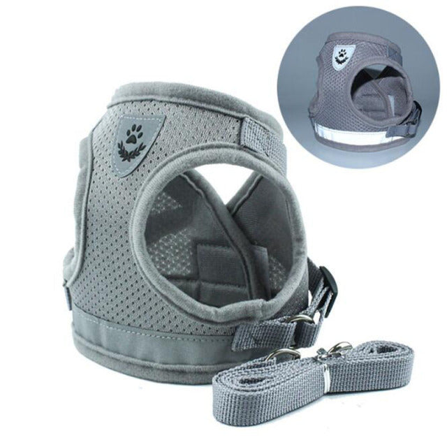 small dog harness vest and leash