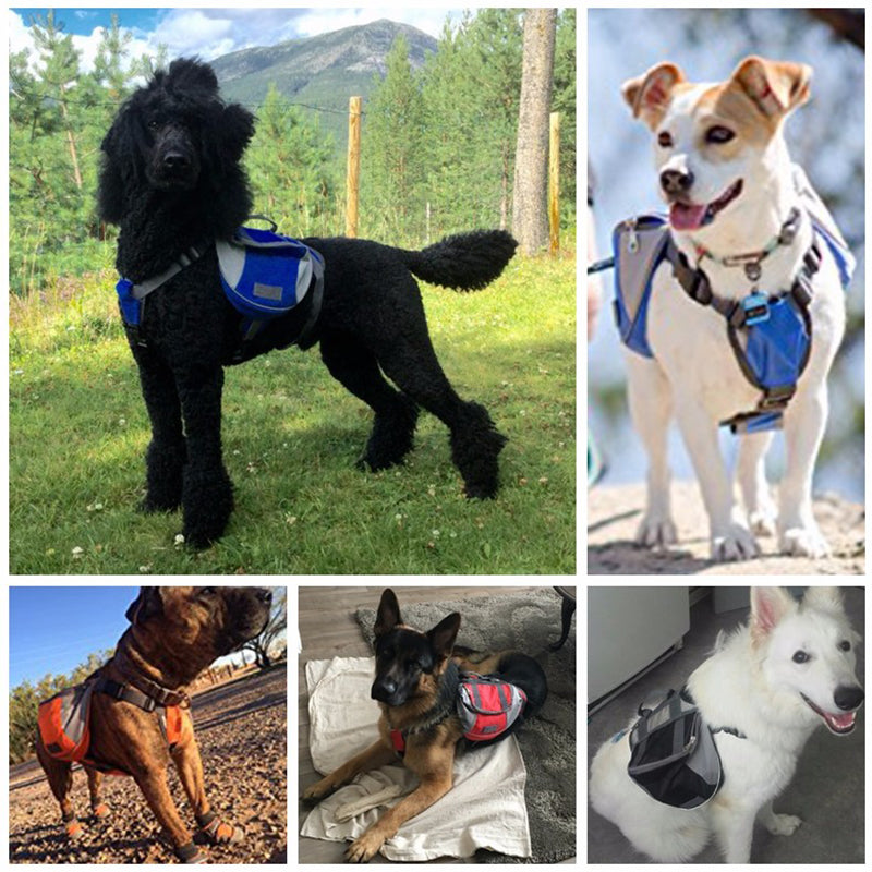 saddle bags for dogs