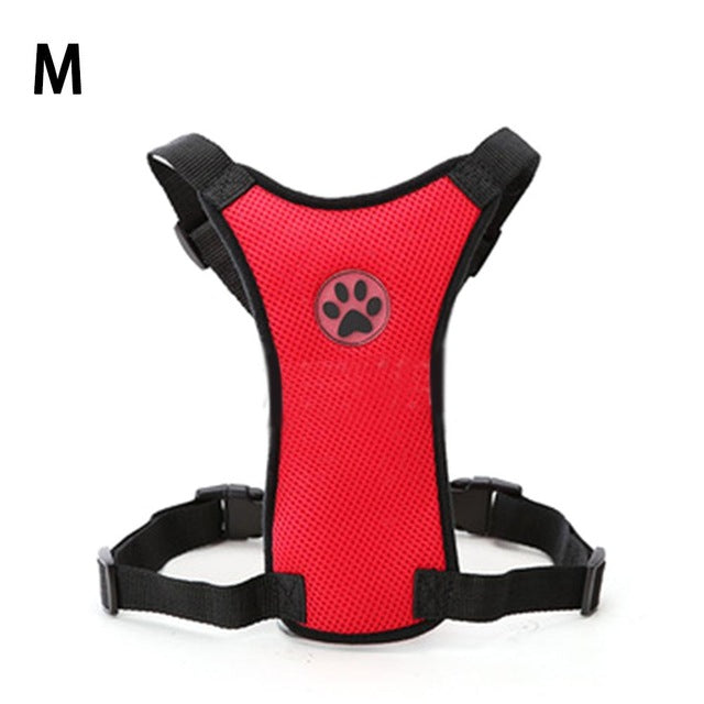 car seats for dogs