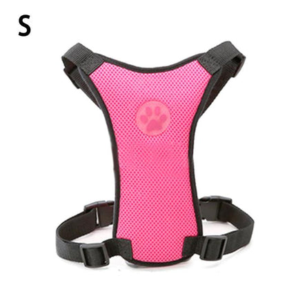 seat belt harness for dogs