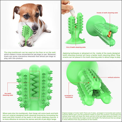 dental chews for dogs