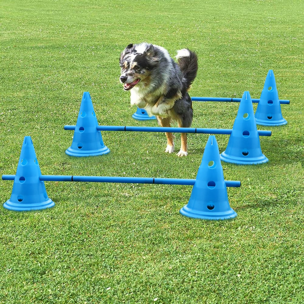 Dog speed training equipment
