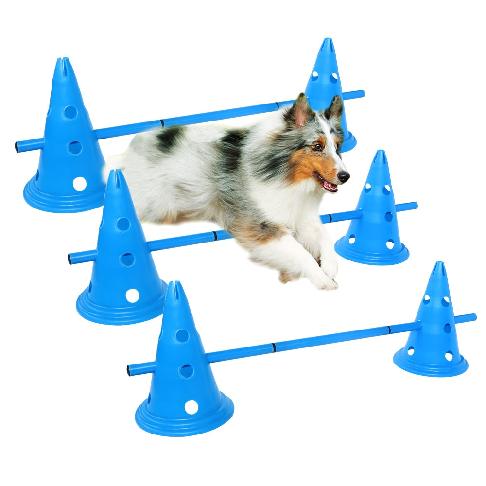 Durable Dogs Running Jumping Stakes Dog Exercise Equipment – The