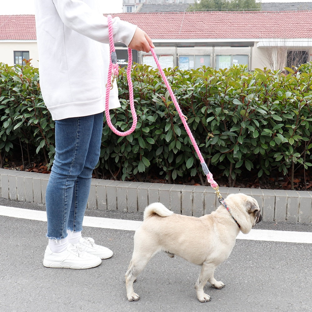 best leashes for dogs