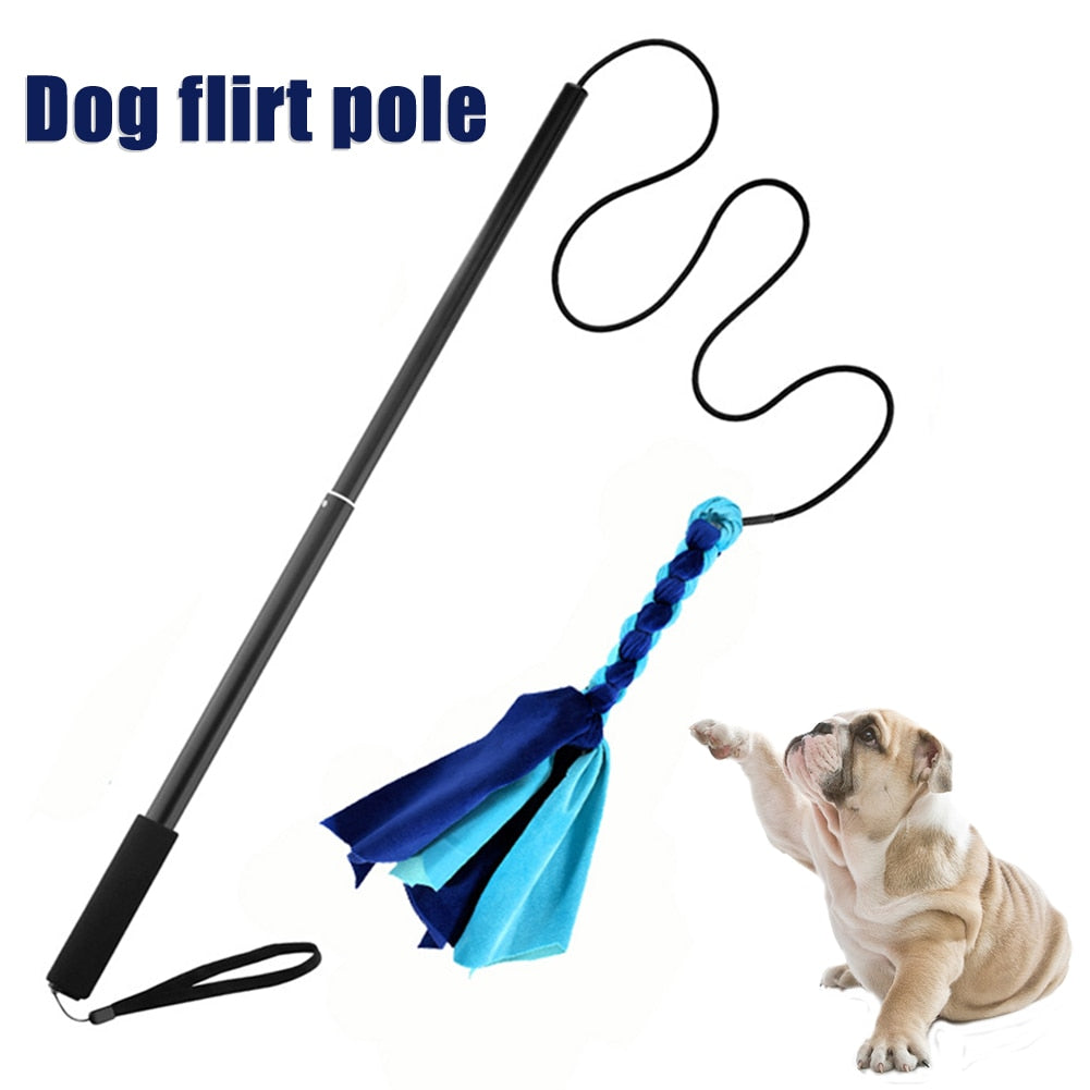 Flirt Pole For Dogs