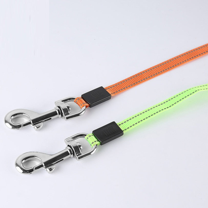 Leash For 2 Dogs