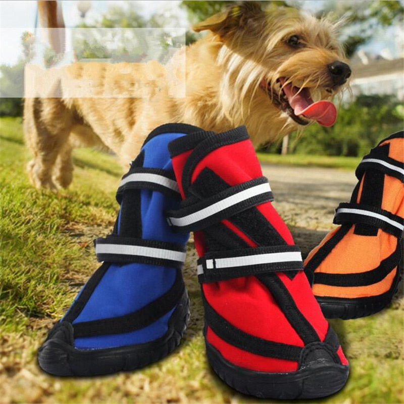 High Boot Four Seasons Dog Shoes