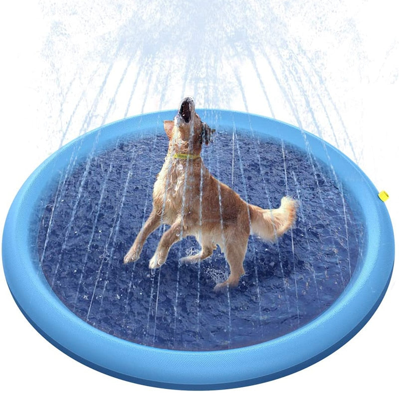 outdoor dog bath