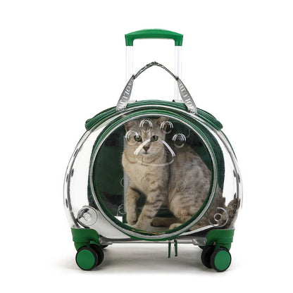 cat front pack carrier