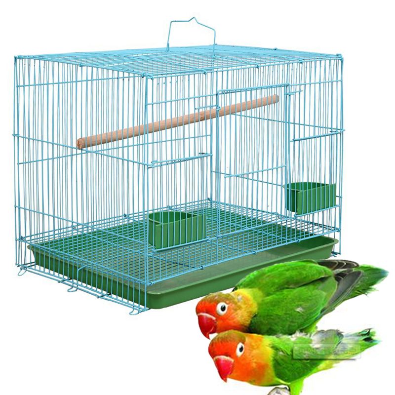 Canary Cage