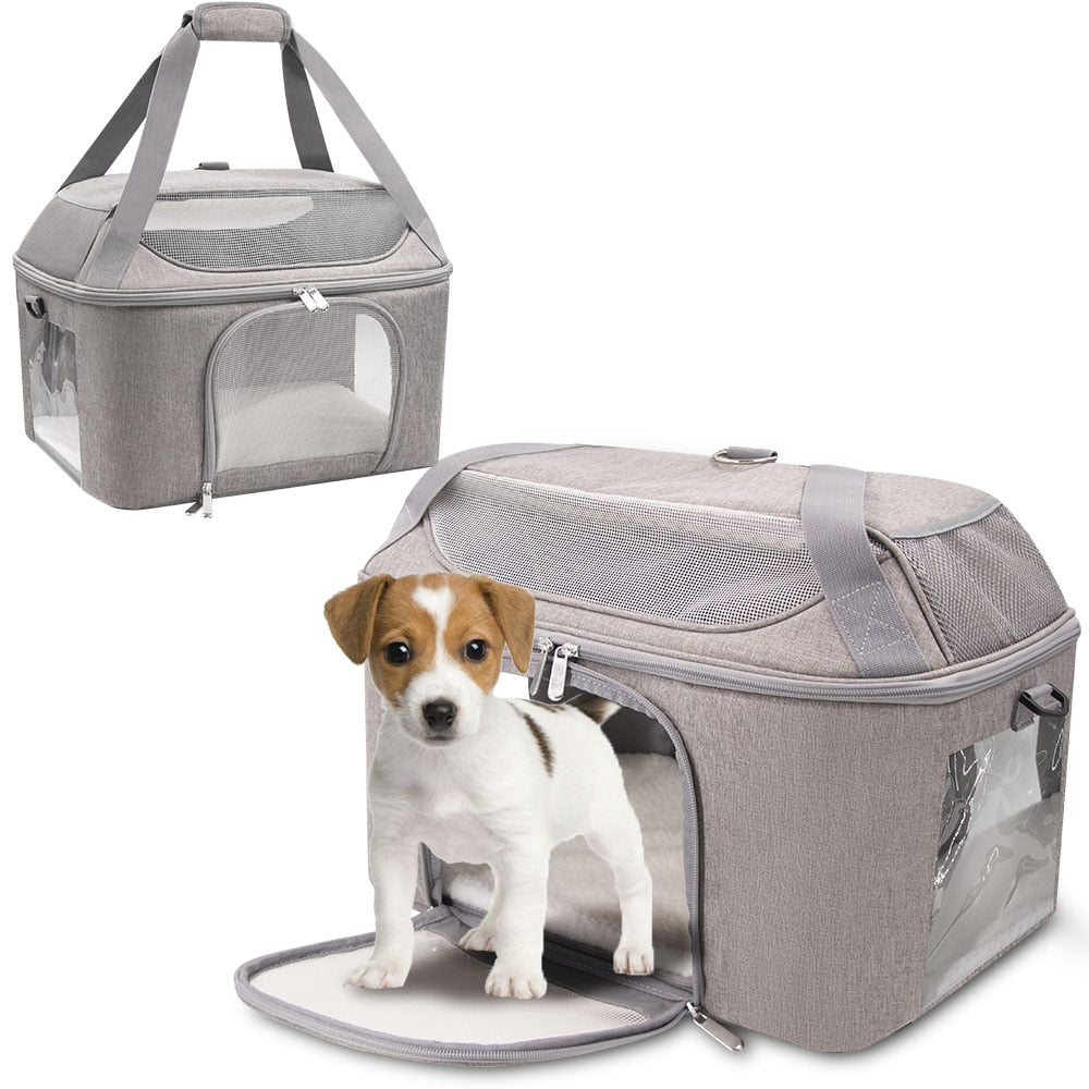 backpack carrier for dogs