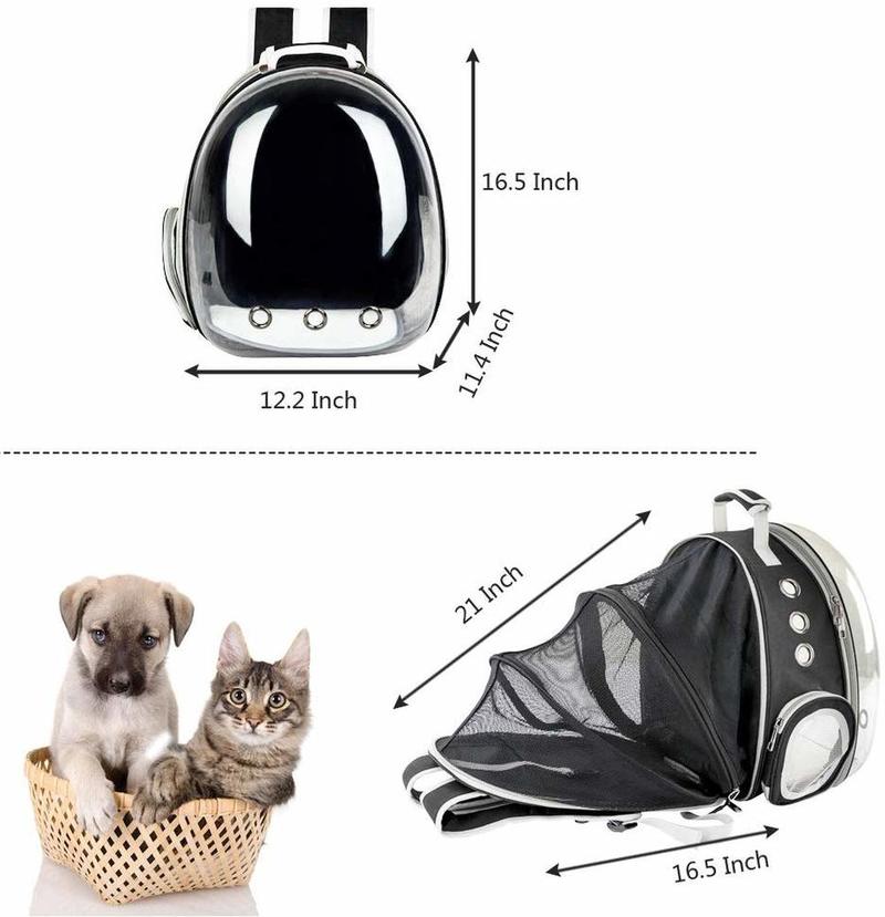 Foldable Cat Bubble Backpack Outdoor Cat Tent
