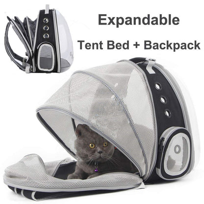 cat backpack bubble