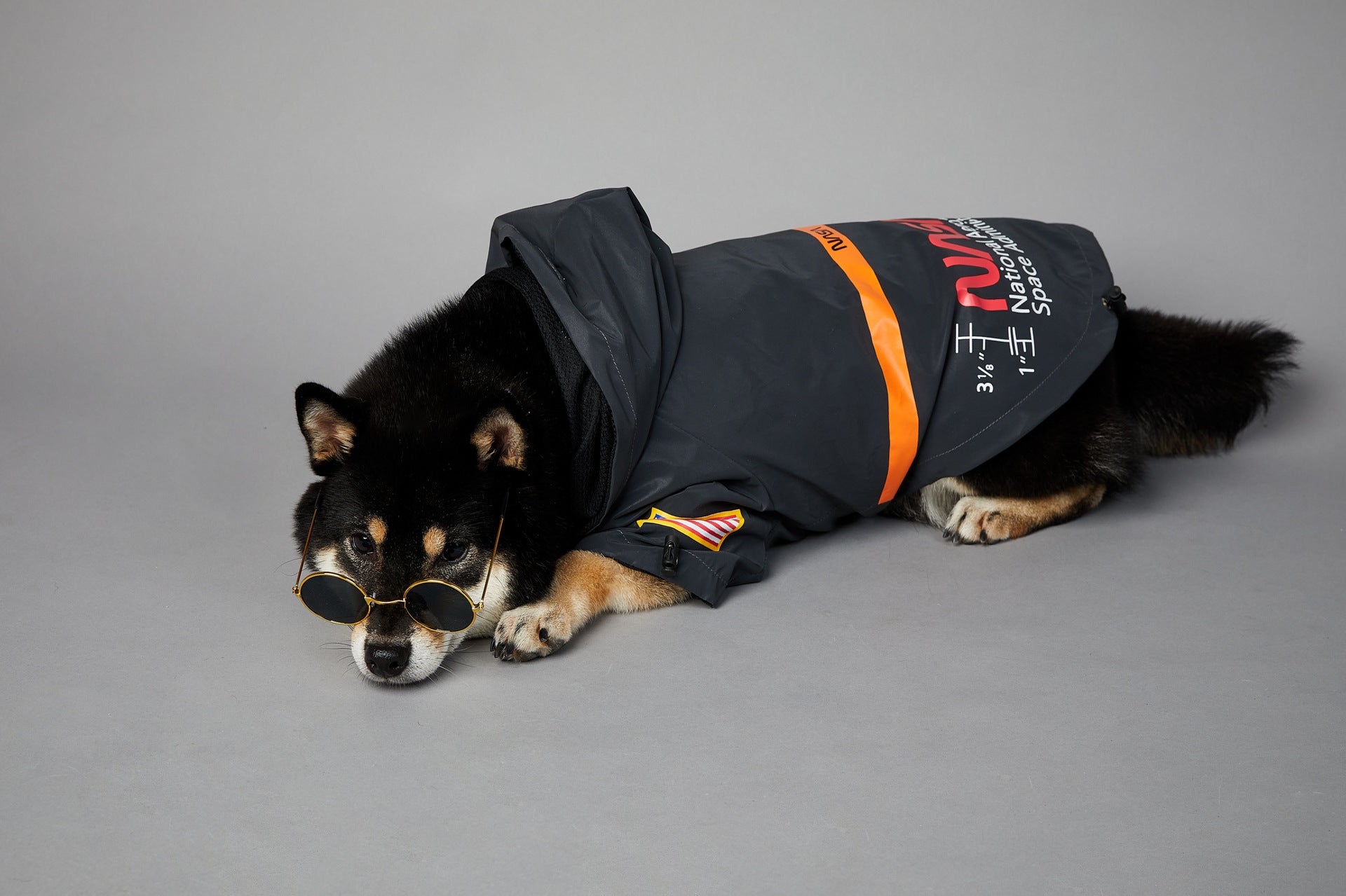 dog raincoat xxl