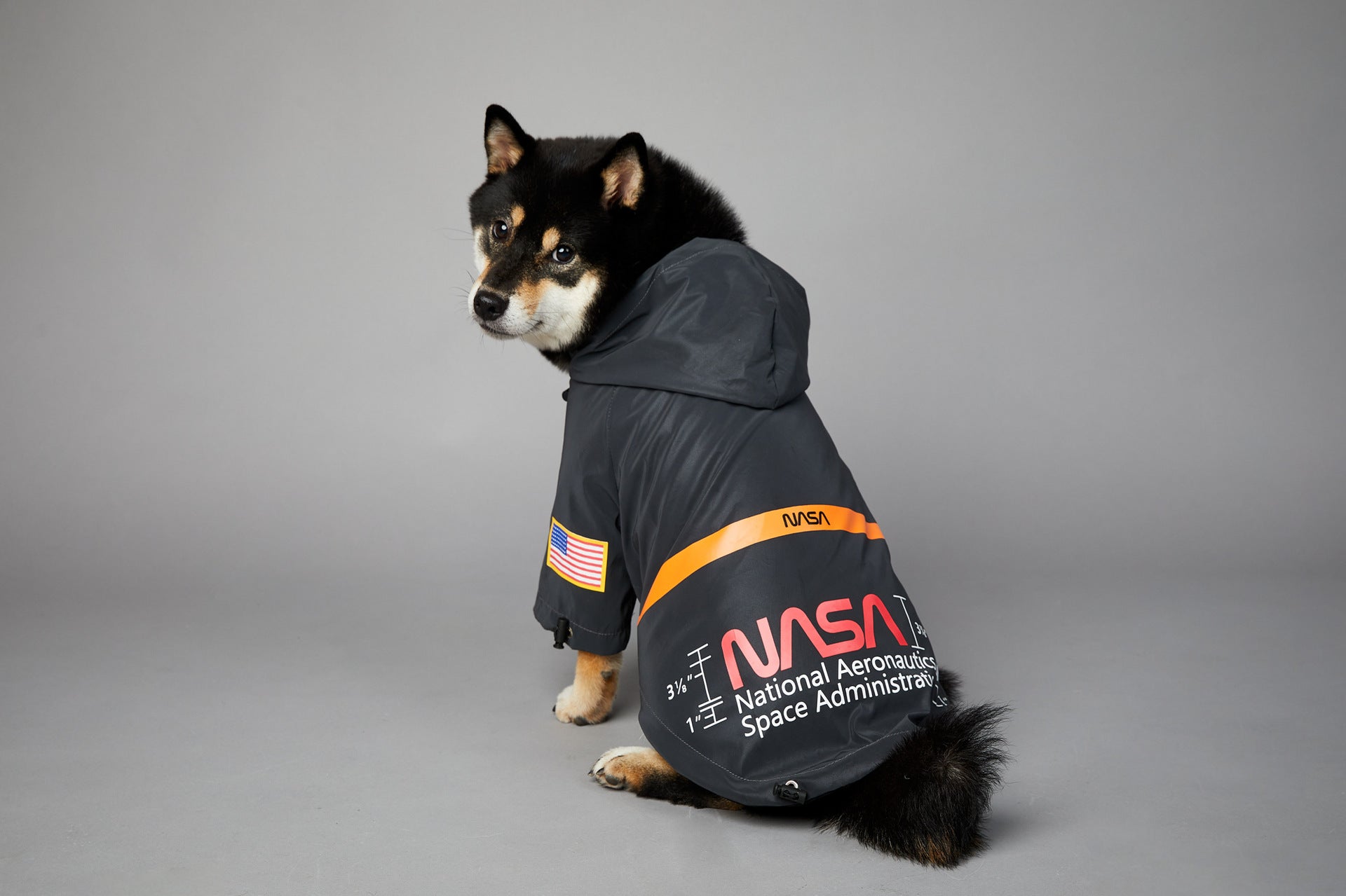 best dog raincoat with hood