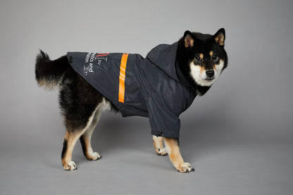dog raincoat large