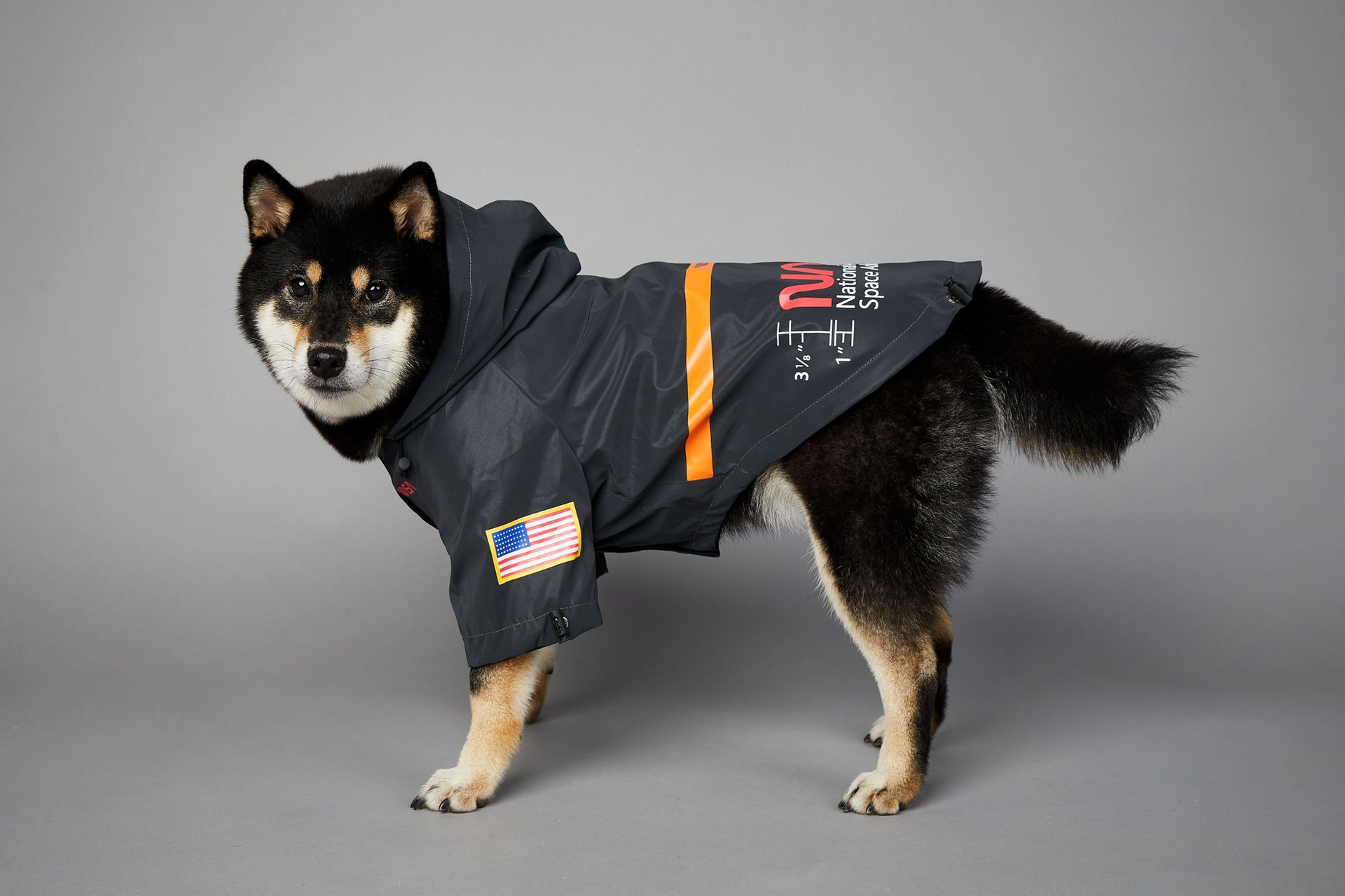 waterproof dog coats that cover belly