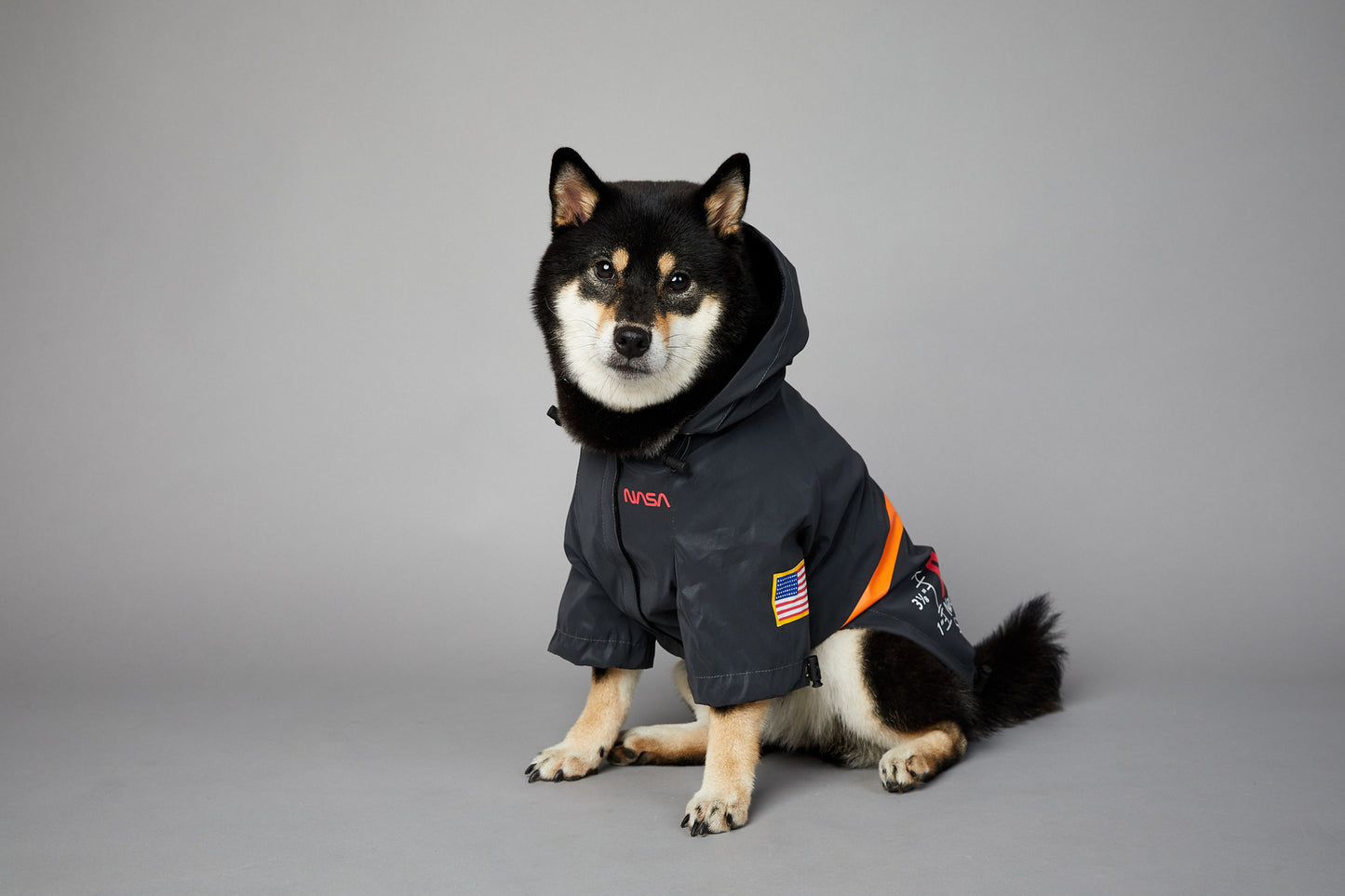 waterproof dog coats for small dogs