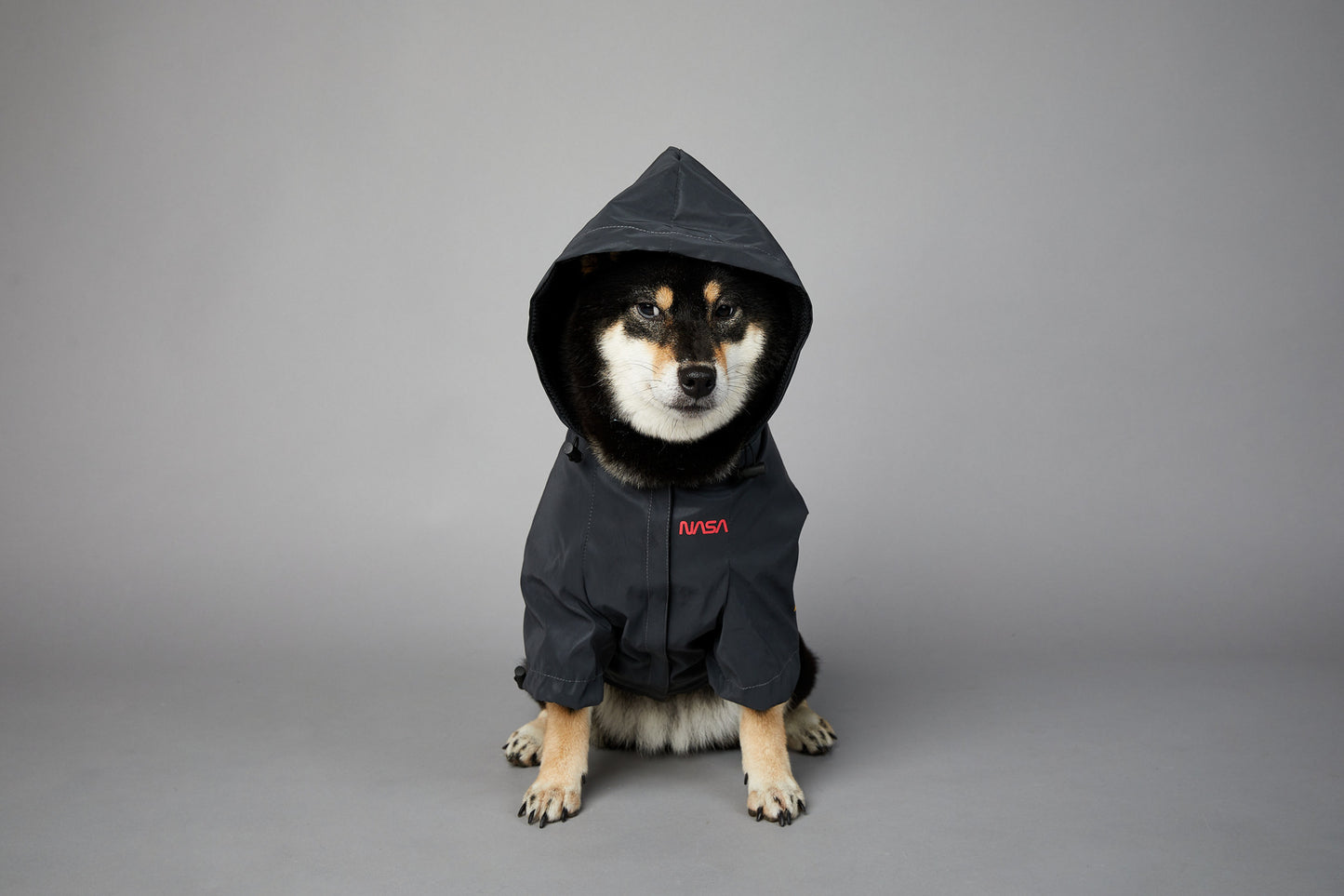 waterproof dog coats with underbelly protection