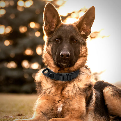 Tactical Dog Collar Free Custom Dog Collar Tags Nylon Dog Collar With Name Plate