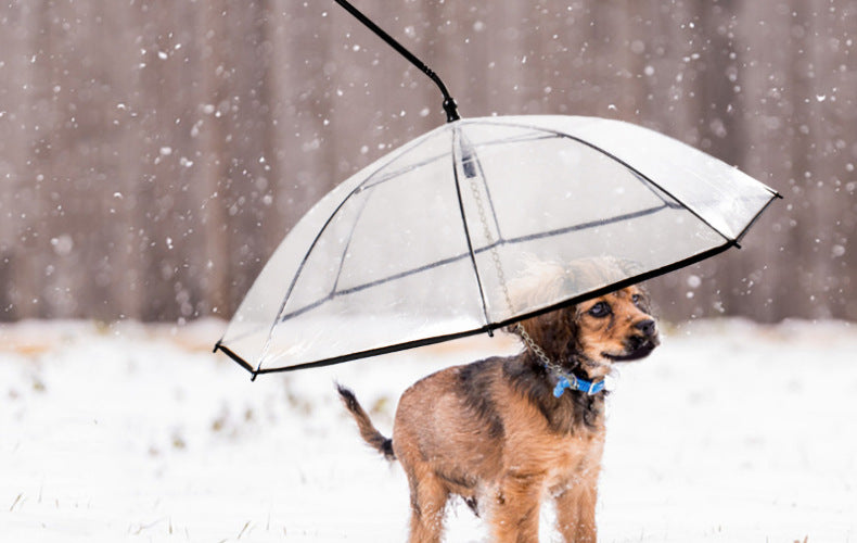 umbrella for dog walking