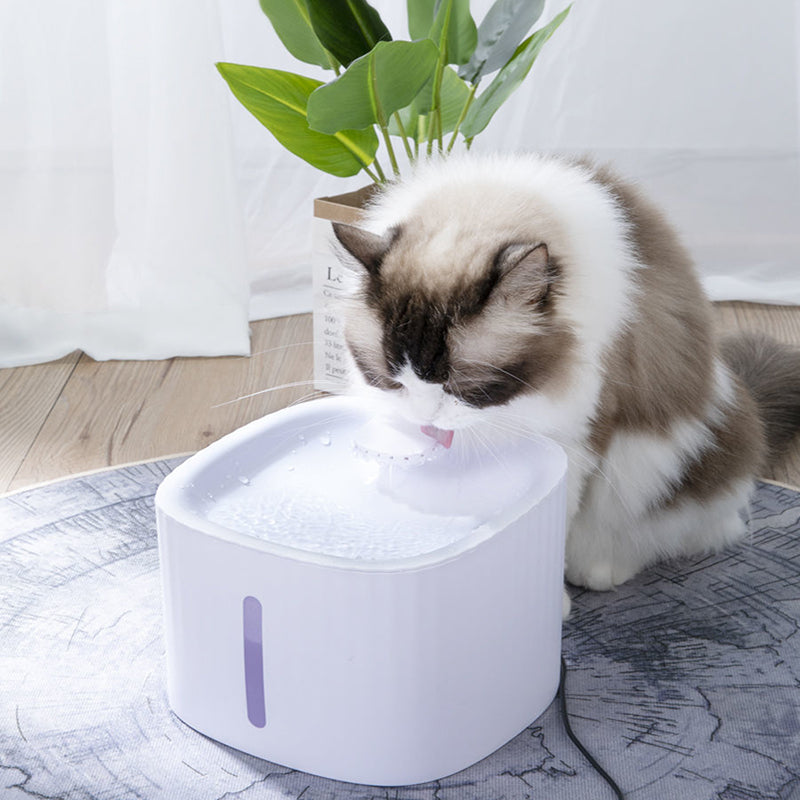 running water cat bowl