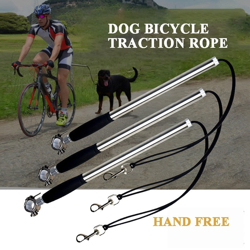 bike accessories for dogs