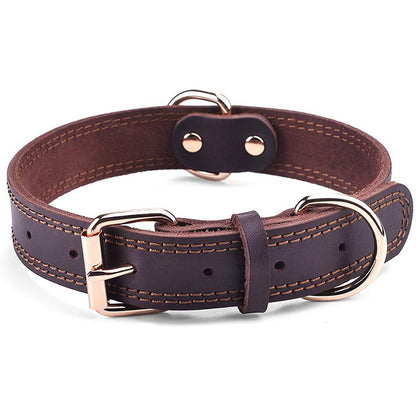 collar leather dog
