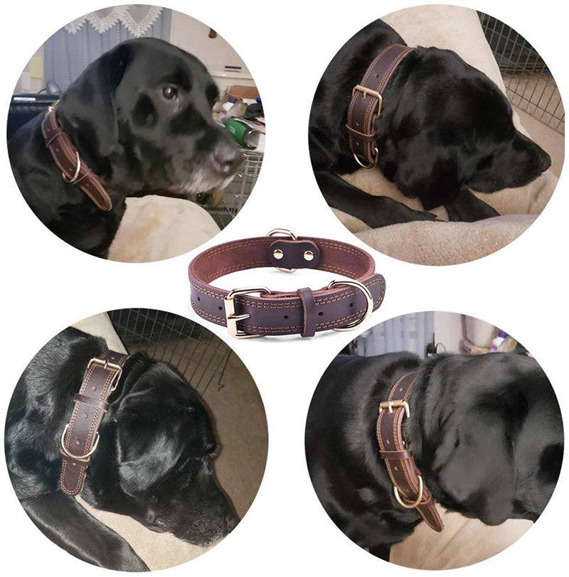 black leather dog collar