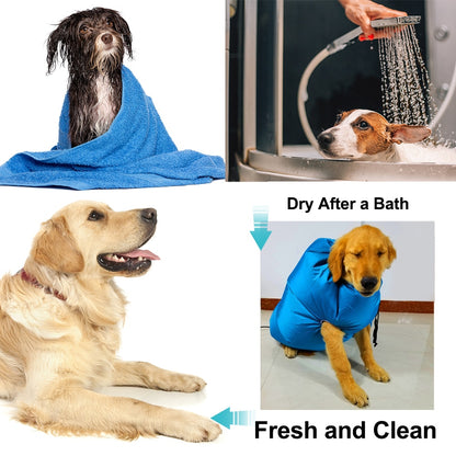 best dog blow dryer