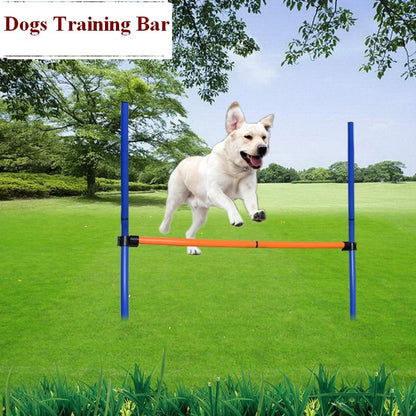 dog workout equipment
