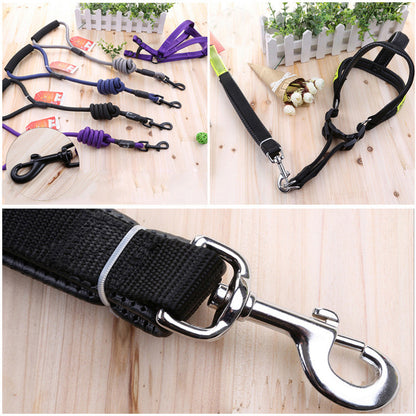 clasps for dog leashes