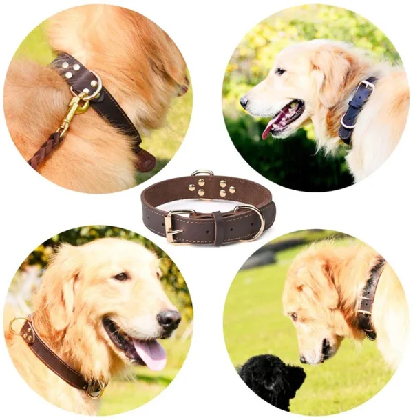 Genuine Leather Collar For Dogs Leather Dog Collar